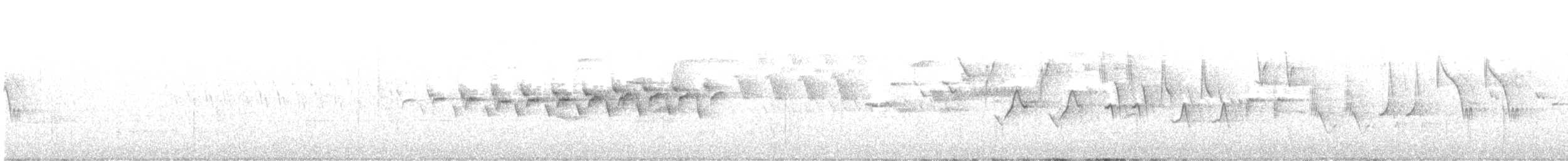 Миртовый певун (coronata) - ML621238970