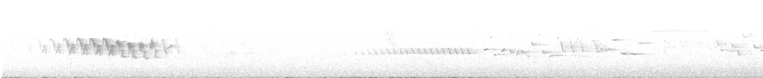 Миртовый певун (coronata) - ML621238971