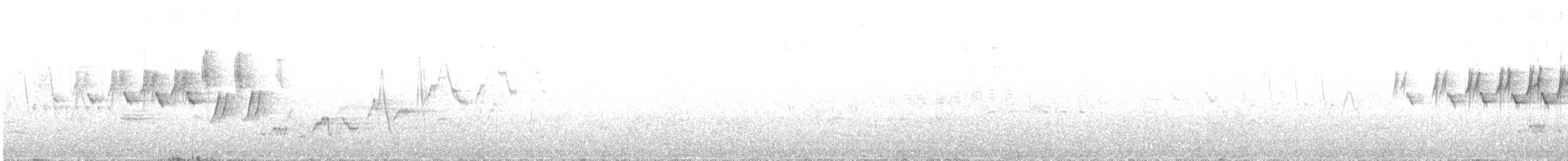 MacGillivray's Warbler - ML621238980