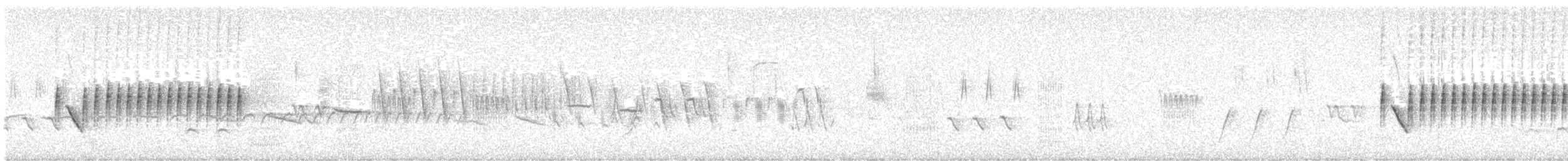 Spotted Towhee - ML621239063