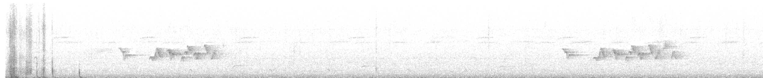 Веерохвостая корольковка - ML621239918