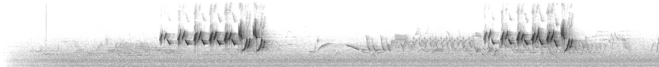 MacGillivray's Warbler - ML621240105