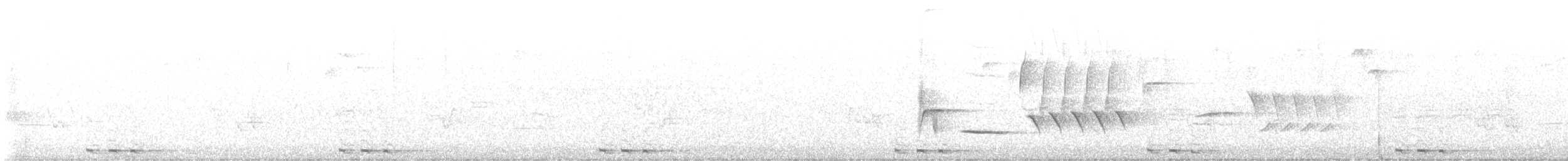 Black-billed Cuckoo - ML621240675