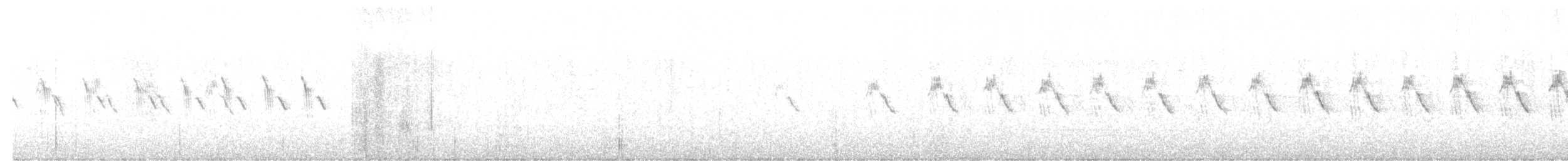 Pipit spioncelle - ML621241274