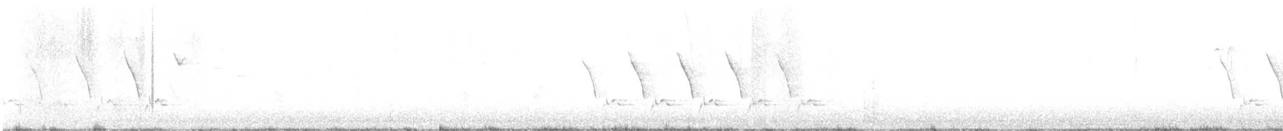 Поплітник каролінський - ML621241282