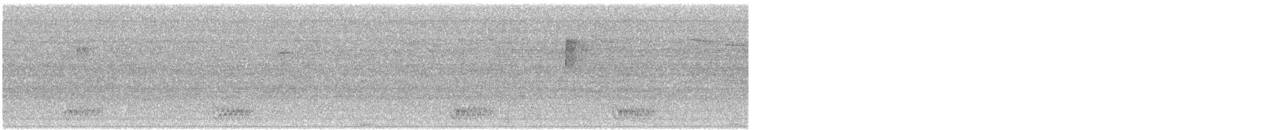 Гіла каролінська - ML621241701
