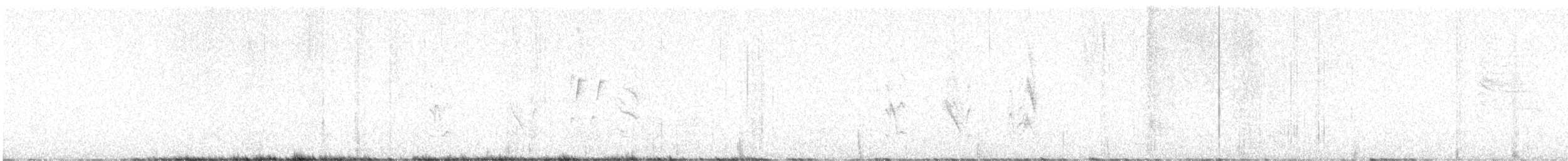Black-tailed Gnatcatcher - ML621242376