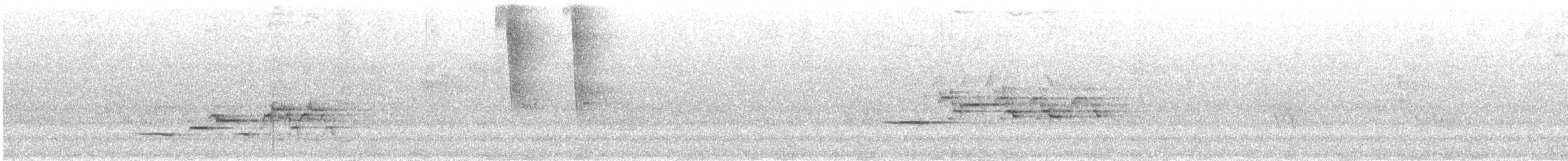 Дрізд-короткодзьоб плямистоволий (підвид faxoni/crymophilus) - ML621242491