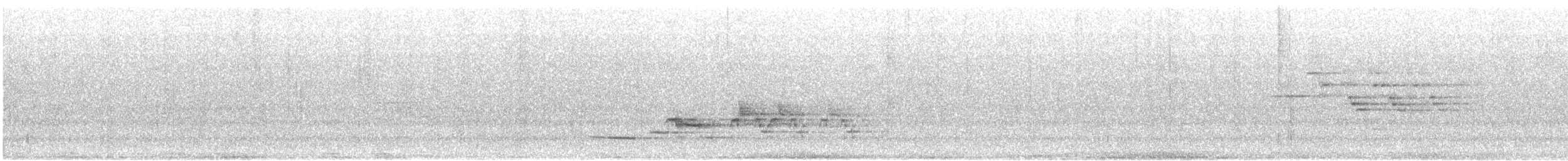 Дрізд-короткодзьоб плямистоволий (підвид faxoni/crymophilus) - ML621242492