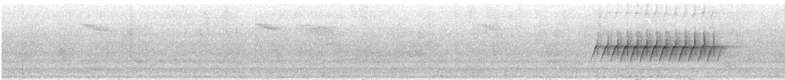 Kara Gözlü Junko (hyemalis/carolinensis) - ML621242498