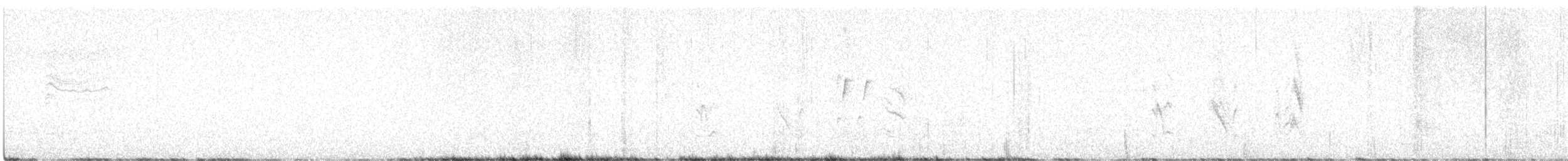 Black-tailed Gnatcatcher - ML621242544