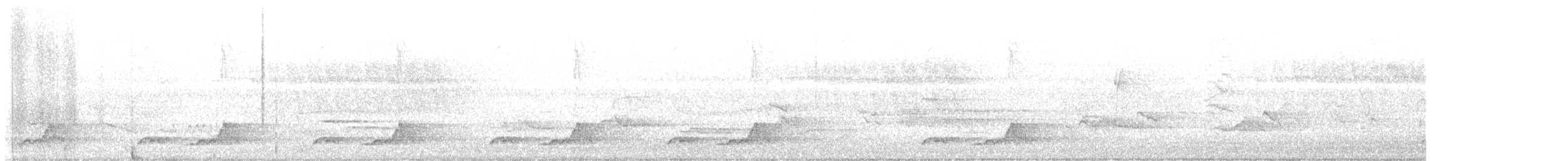 Schwarzkehl-Nachtschwalbe - ML621244198