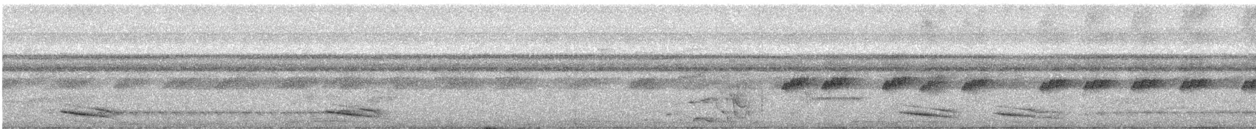Kara Tepeli Gri Karıncaavcısı - ML621244952