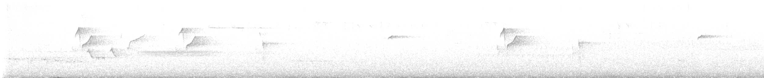 Batı Amerika Sinekkapanı - ML621245261