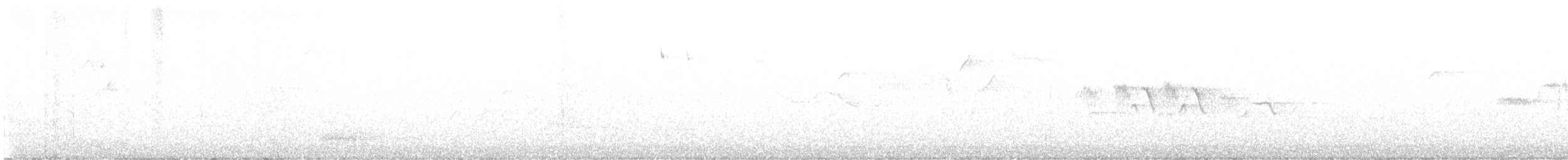 strnadec bělopásý - ML621245509