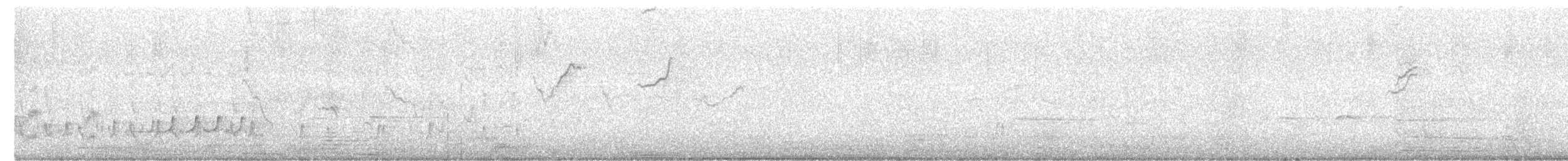 Тиран-крихітка світлогорлий - ML621245574