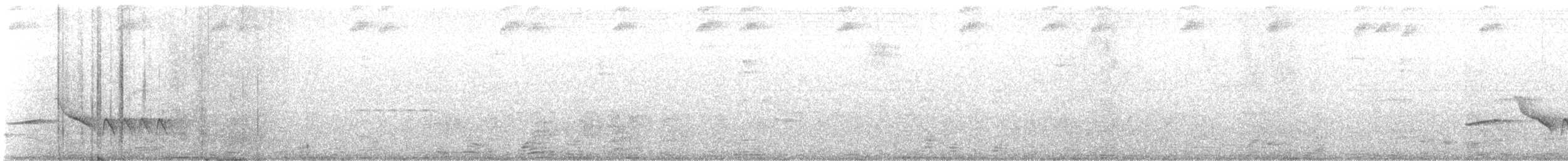 Troglodyte des halliers - ML621245773
