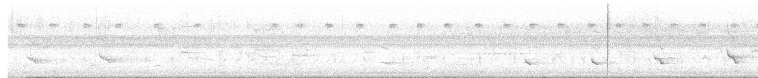 Fischadler (carolinensis) - ML621246670