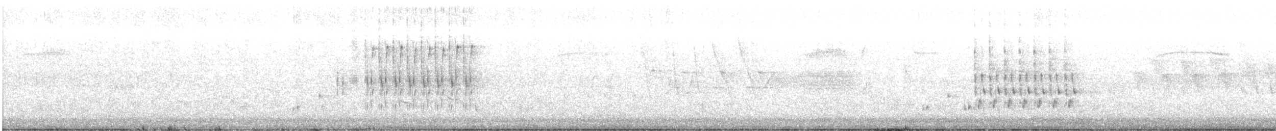 Troglodyte des marais - ML621246771