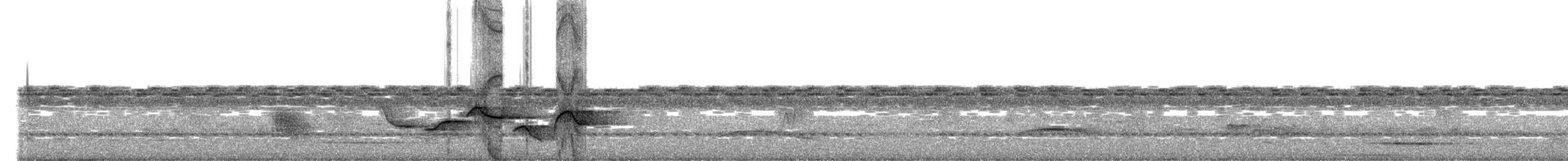Поплітник плямистий - ML621247725