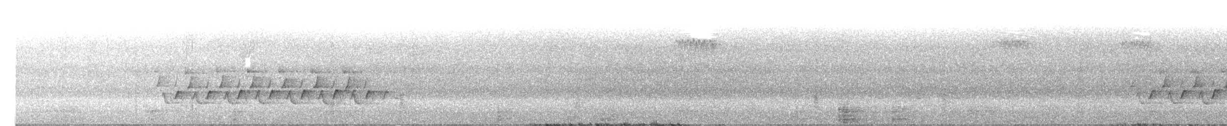 Поплітник каролінський - ML621249192