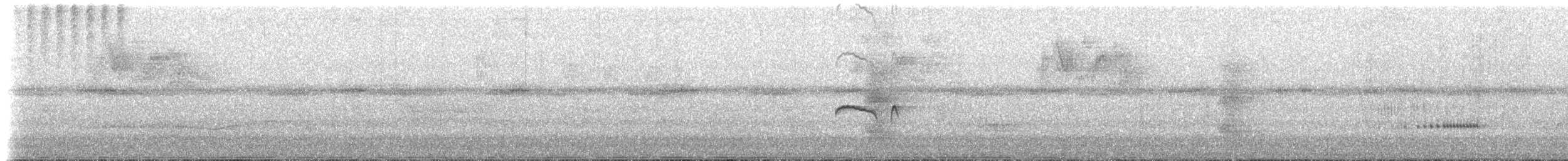 Tumbesschnäppertyrann - ML621249529