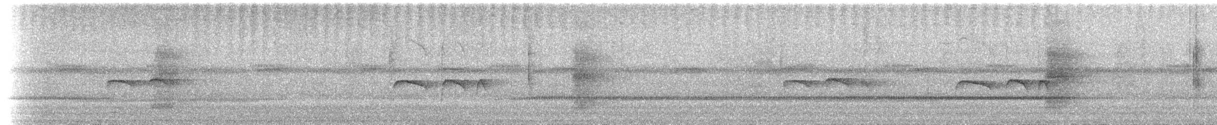 Tumbesschnäppertyrann - ML621249566