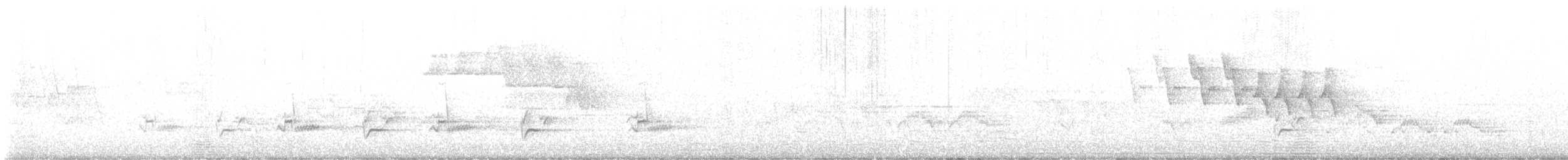 Küçük Boreal Sinekkapan - ML621250831