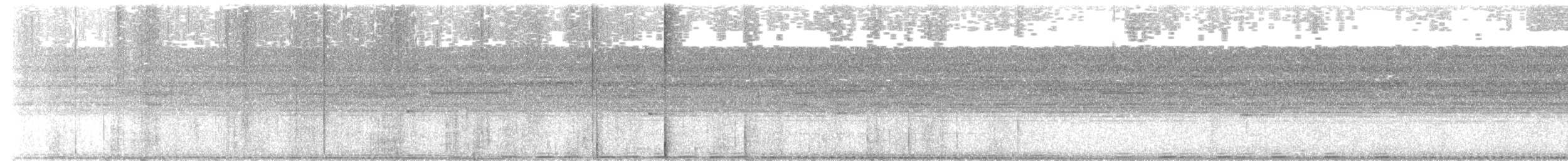 trubač bělokřídlý - ML621251681