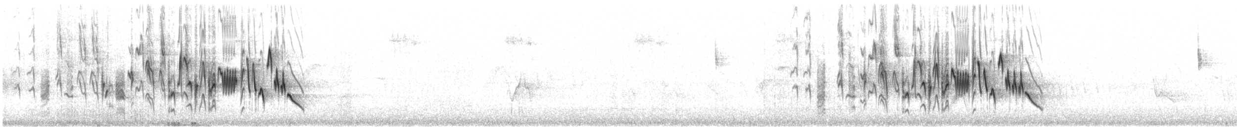 House Wren (Brown-throated) - ML621251708