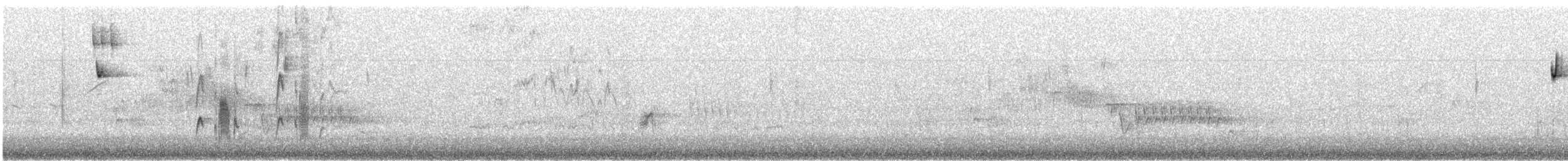 Batı Amerika Sinekkapanı (occidentalis/hellmayri) - ML621251825
