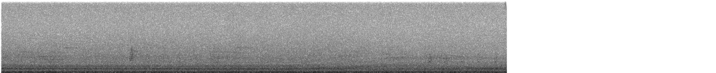 Walddrossel - ML621252801