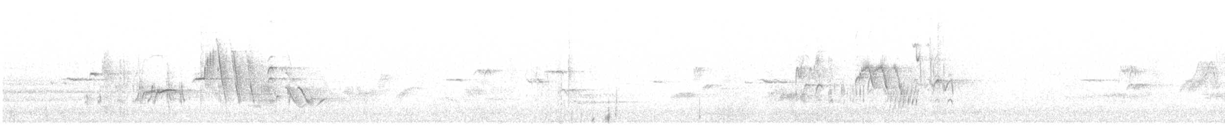 aurorarødstjert - ML621254182
