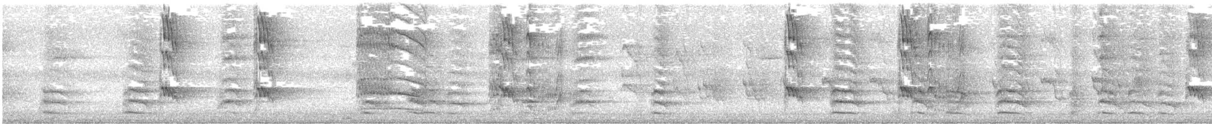 Pabuç Gagalı Tiran [mexicanus grubu] - ML621254363