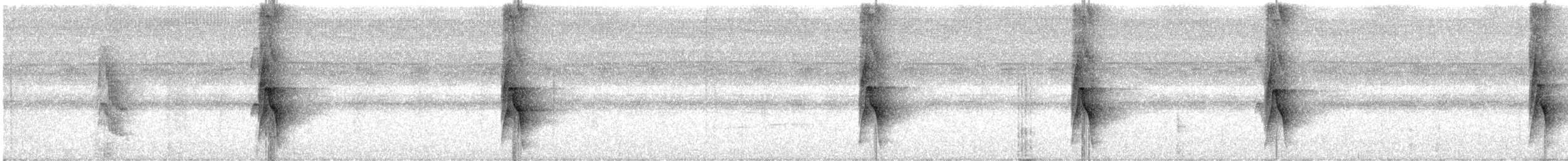 Nacktstirn-Ameisenvogel - ML621254473