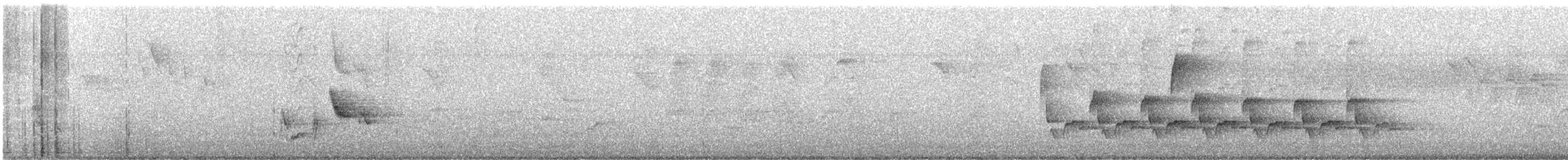 Каролинский крапивник - ML621254972