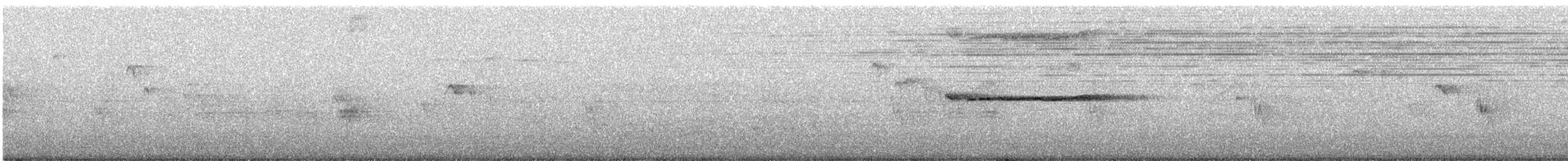 Ширококрылый канюк - ML621257012