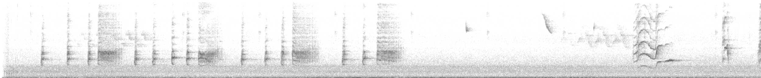 Miaulari grisa - ML621265016