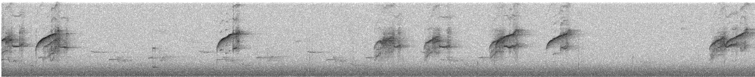 Tyranneau à sourcils blancs - ML621265600