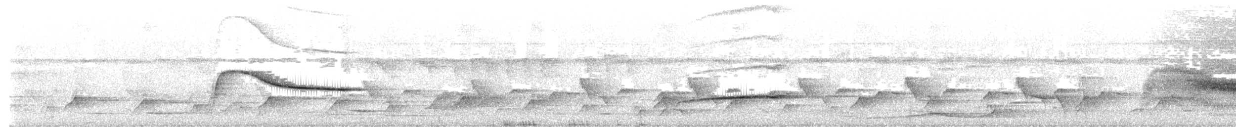 Northern Scrub-Robin - ML621272782