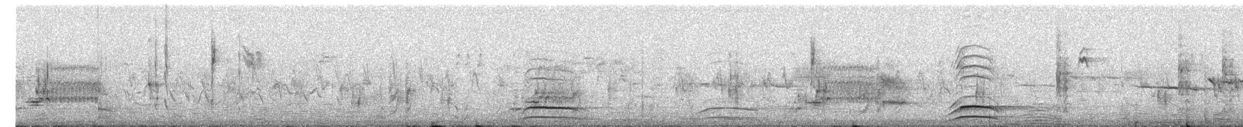 Gambel's Quail - ML621276919