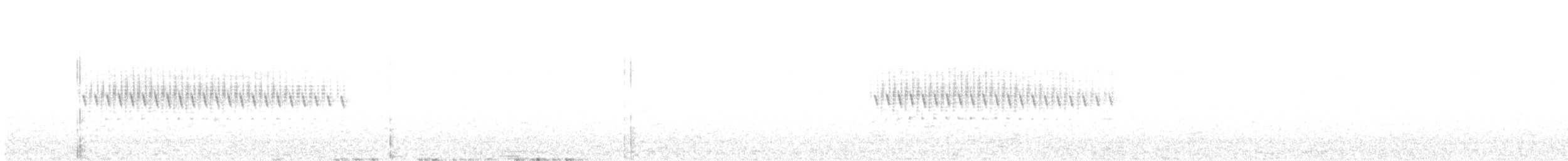 vinterjunko (mearnsi) - ML621289805