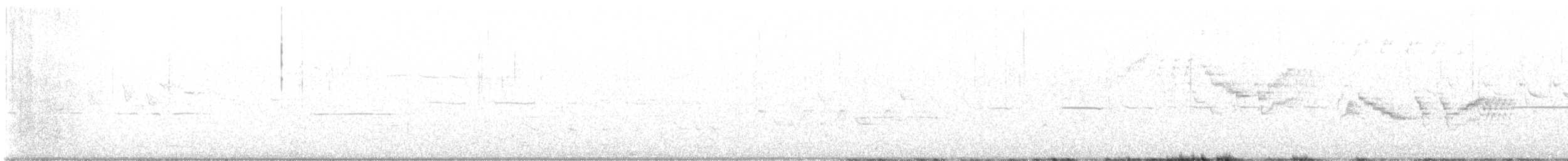Дрізд-короткодзьоб канадський - ML621291114