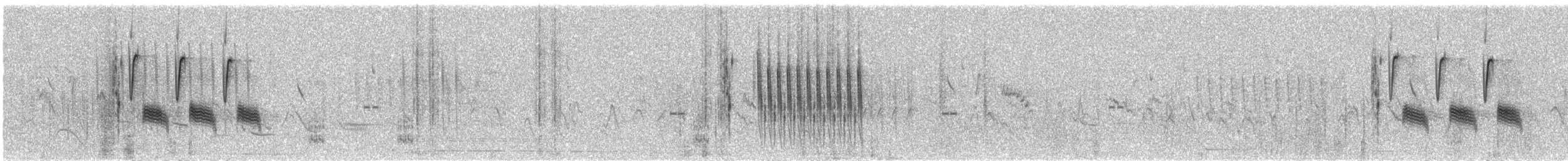 Troglodyte de Latham (groupe elegans) - ML621291705