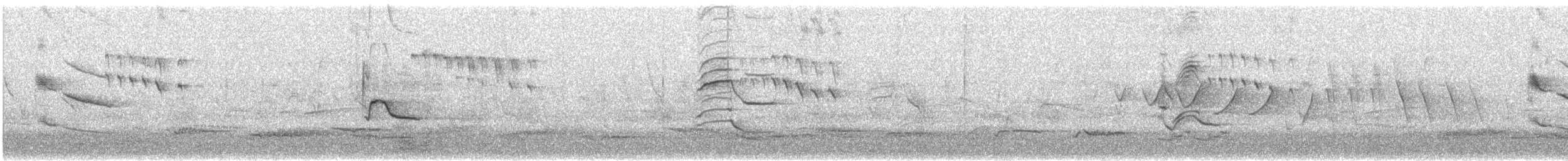 Дрізд мексиканський (підвид rufopalliatus) - ML621291852
