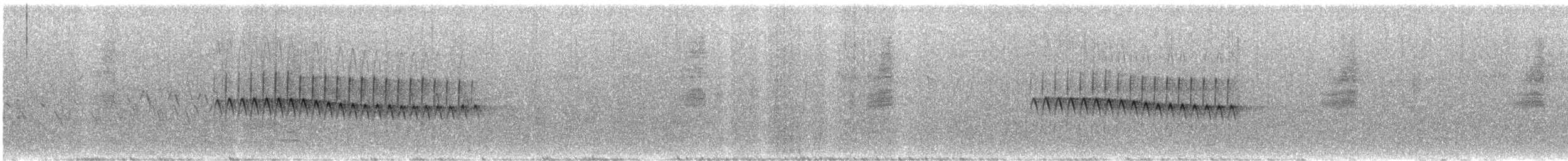 Юнко сірий (підвид caniceps) - ML621291964