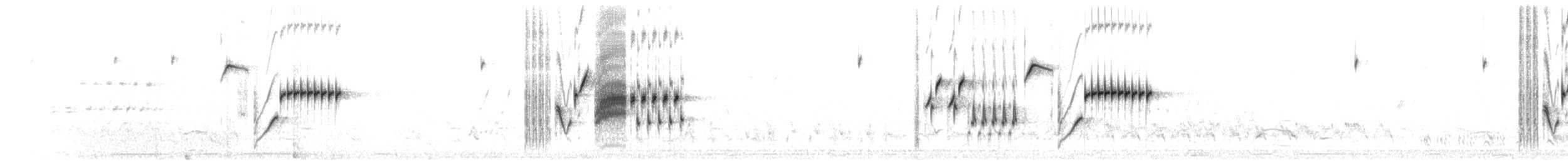 Black-throated Sparrow - ML621292205
