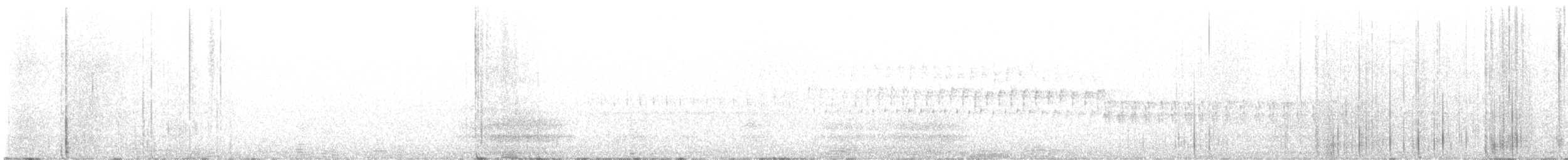 křivka bělokřídlá - ML621293169
