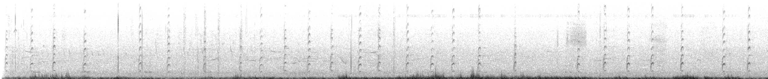 svartkronestylteløper (mexicanus) - ML621294174