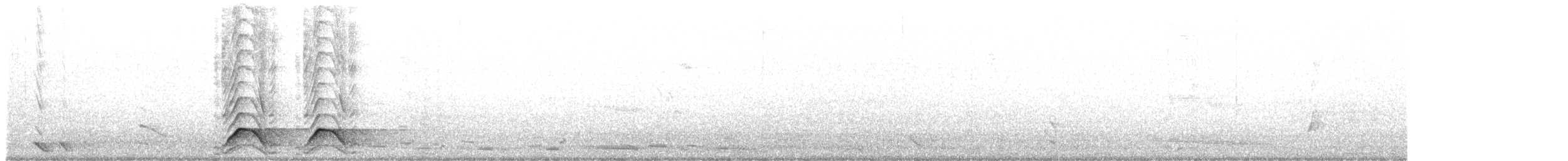 Pied Currawong - ML621294434